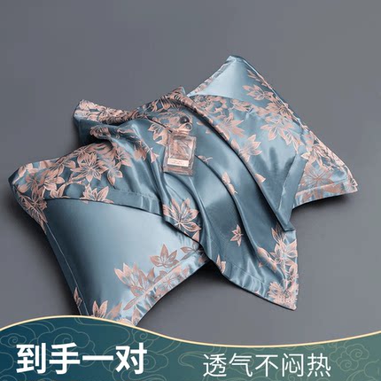 【买一送一】欧式凉爽提花冰丝枕头套一对装成人枕套双面凉感丝滑