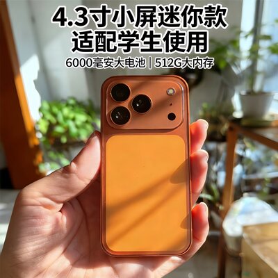 原装国行正品未激活小屏17mini新款16+512G人脸智能全网通5G手机
