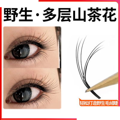多层次野生睫毛翘睫嫁接