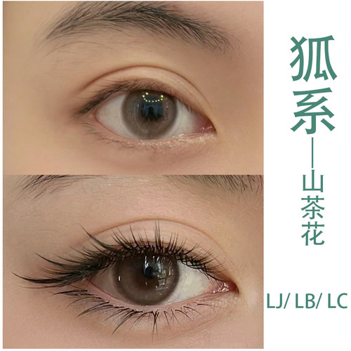 LJLBLC中式翘睫山茶花