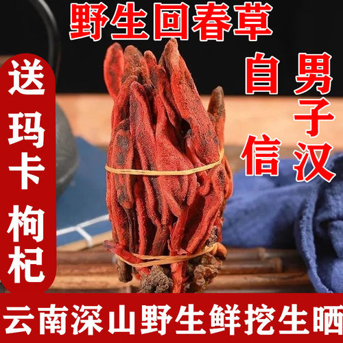 正宗回春草250克 正宗云南顶天柱男性滋补硬起草苁蓉泡酒配方煲汤 - 封面
