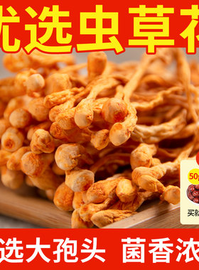 虫草花100g无硫精选大孢子头
