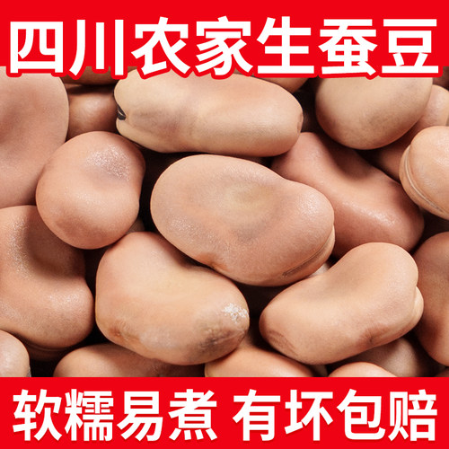 新货蚕豆干货5斤干胡豆