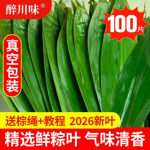 粽叶新鲜粽子叶100片包粽子专用大号粽叶干南方非现摘芦苇大粽叶 - 封面
