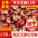 汉源红花椒250g四川特麻贡椒优质大红袍花椒粒食用新鲜干麻椒花椒