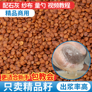 手搓冰粉籽四川贵州商用手工冰粉原料家用摆摊全套材料优质石花籽
