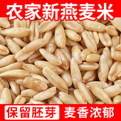 燕麦米新米500g农家五谷杂粮粗粮商用燕麦粒代餐生胚芽米