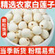 白莲子干货250g天然无硫熏莲子农家无心无芯通心莲莲子羹原料