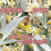 新蜜新疆沙枣蜜封盖蜜 农家土蜂蜜2斤