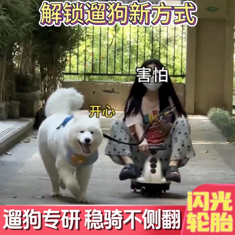 一种很新的遛狗方式不翻扭扭车