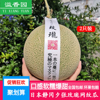 日本品种静冈玖龙蜜瓜 夕张网纹瓜2只甜瓜哈密瓜孕妇新鲜水果包邮