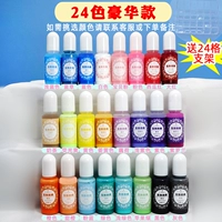 Solid Color Essence, набор из 24 цветов для отправки хранения кронштейнов