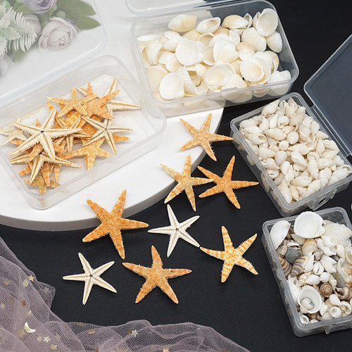 梦初手作天然海星贝壳diy饰品