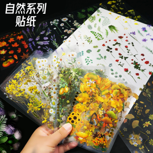 滴胶流麻咕咔手账贴纸包防水pet自然森林植物花卉干花手工diy书签