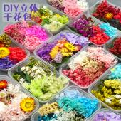 浮游花立体干花永生花植物标本滴胶香薰蜡烛团扇装 饰手工DIY材料