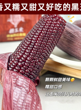 玉米兄弟黑玉米糯玉米包邮真空装包新鲜现摘甜糯紫色粘苞米谷代餐