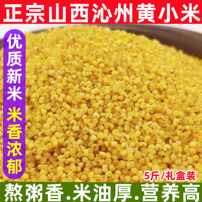 2023新米沁州黄小米小黄米5斤