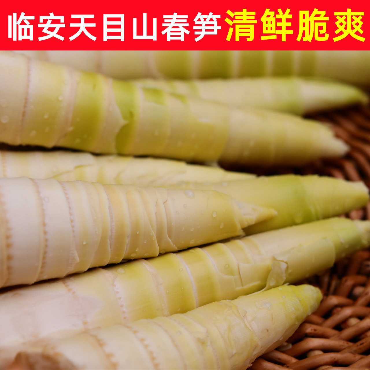 临安天目雷笋竹笋新鲜春笋现挖嫩芽笋冬笋鲜笋腌笃鲜嫩笋尖新鲜菜