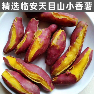 临安天目山小番薯5斤临安小香薯小香薯红薯板栗红薯小地瓜山芋