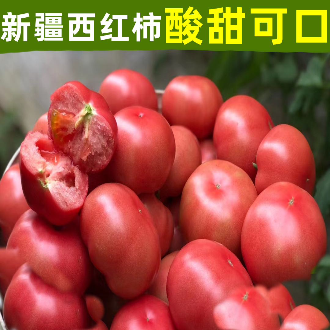 新疆普罗旺斯沙瓤西红柿 生吃自然熟铁皮草莓番茄5斤新鲜水果顺丰
