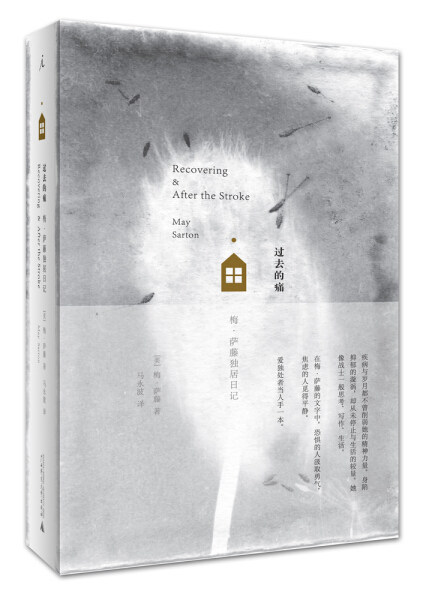 正版 理想国-过去的痛 BBT9787549581849 - 实物图