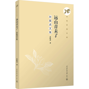 正版现货 远山青未了：孙振虎文集孙振虎著 著中国传媒大学出版社大学教材