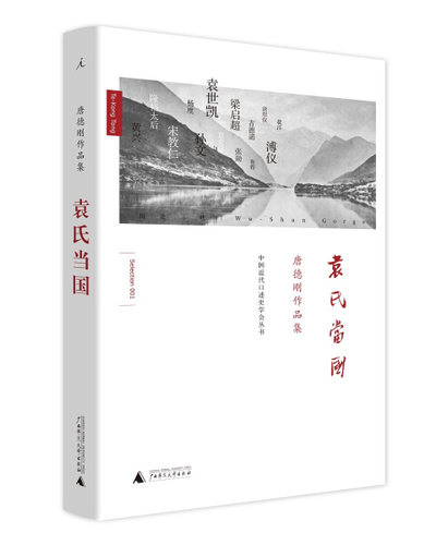 正版9.5成新 唐德刚作品集：袁氏当国（2019版精装）BBT9787549562701