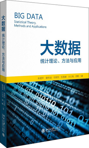 正版现货直发 大数据：统计理论、方法与应用9787301307106 北京大学出版社