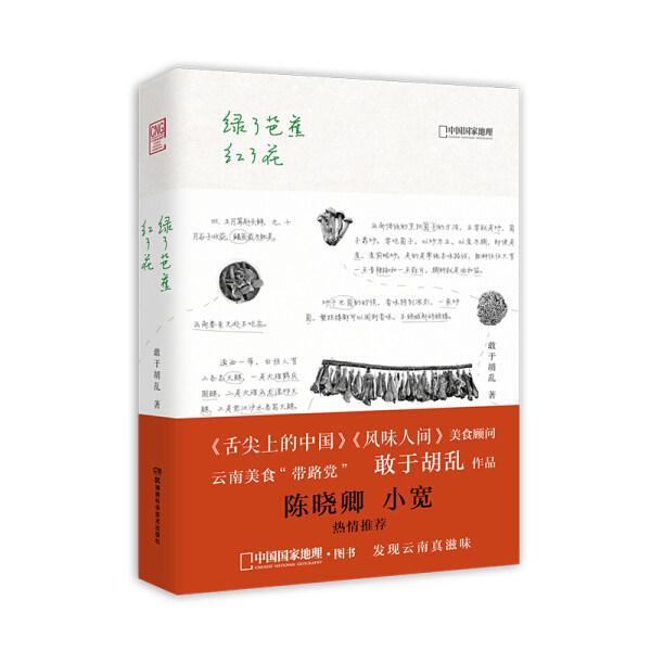 正版 陈晓卿:绿了芭蕉红了花(天畅)9787535799029