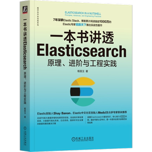 一本书讲透Elasticsearch 原理、进阶与工程实践 机械工业出版社 杨昌玉 著 程序设计（新）