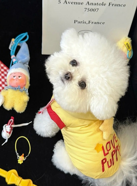 宠物衣服秋冬狗狗棉服马甲雪纳瑞泰迪比熊博美猫咪加绒星星人保暖