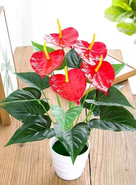 仿真红掌绿植厂家直销