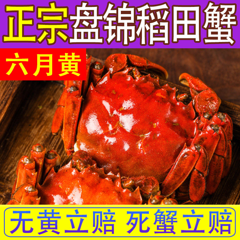 盘锦六月黄大闸蟹鲜活礼盒包邮