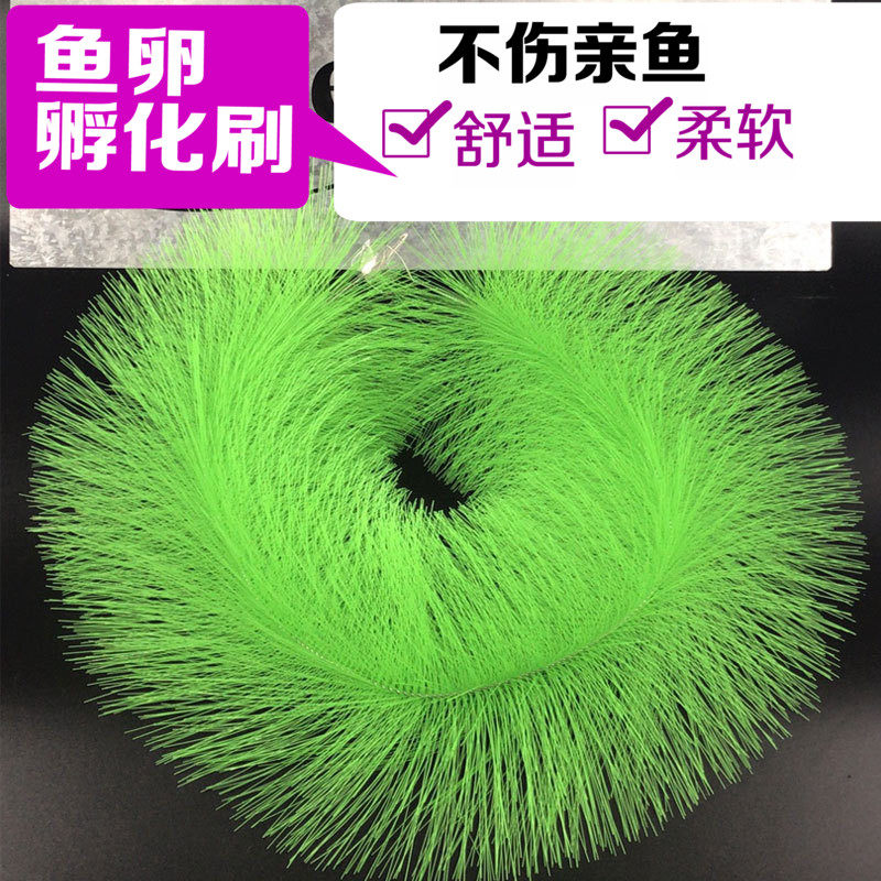 锦鲤产卵草金鱼鱼卵孵化毛刷