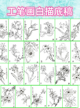 植物花卉工笔画白描底稿白纸线描画稿勾线临摹过稿王道中画稿之三