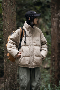 2024冬季新款男日系潮牌立领白鸭绒羽绒服加厚外套棉衣YR06-F275