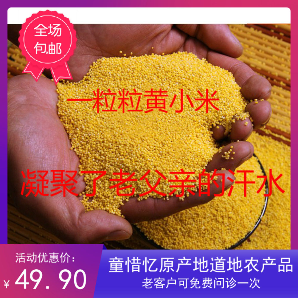 山坡地无化肥种植新黄小米山西农家新小黄米月子米脂米5斤,粮油调味/速食/干货/烘焙,小米,淘宝优惠券,粉丝福利购,淘宝优惠卷