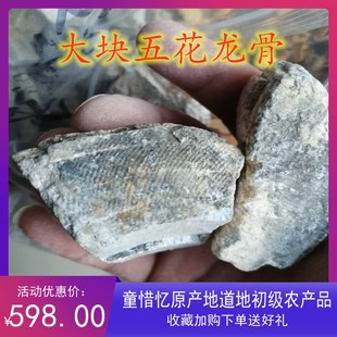 生龙骨药材龙齿中药材五花煆龙骨特级吸舌山西非牡蛎农产品500克