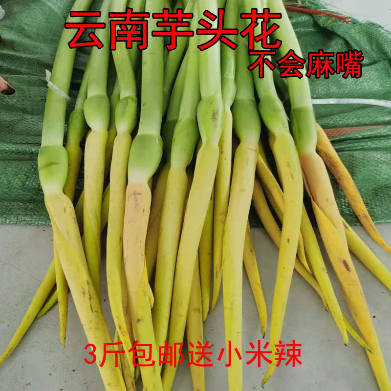 云南特产新鲜蔬菜绿色芋头花芋荷花不会麻嘴的芋头花送新鲜辣子
