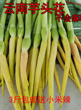 云南特产新鲜蔬菜绿色芋头花芋荷花不会麻嘴的芋头花送新鲜辣子