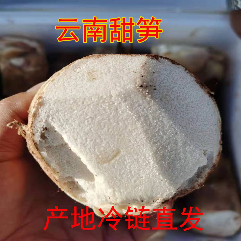 云南特产新鲜竹笋蔬菜农家野生甜竹笋马蹄笋可以生吃的竹笋脆甜
