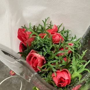 花蔓红色银莲花10支不 包邮