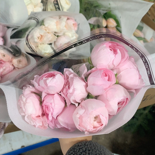 包邮 花蔓小樱花粉成功洋牡丹9 10支不