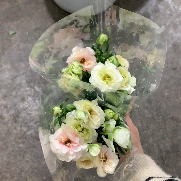 2扎粉香槟蝴蝶洋牡丹不包邮,鲜花速递/花卉仿真/绿植园艺,婚车鲜花,淘宝优惠券,粉丝福利购,淘宝优惠卷