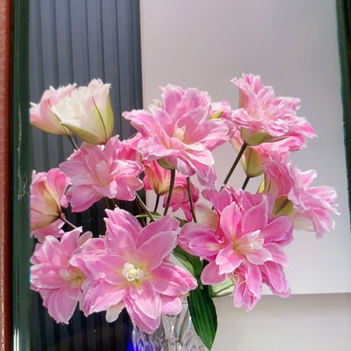 莲花之境重瓣百合三头5支不包邮