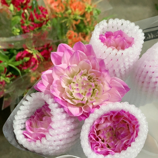 花蔓普洛斯大丽花5支不 包邮