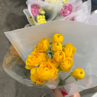 包邮 北小曼橙香水洋牡丹9 10支不