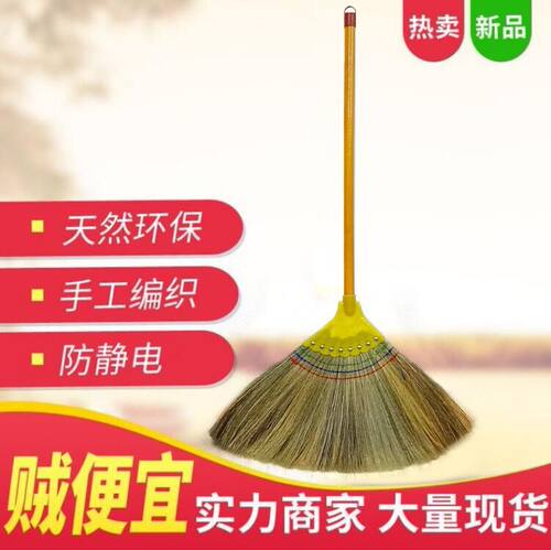 笤帚学校地板清洁凤尾草高粱苗