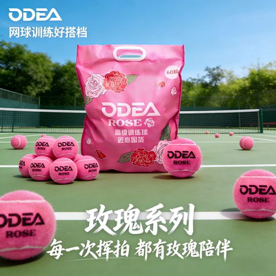 ODEA欧帝尔高级训练网球
