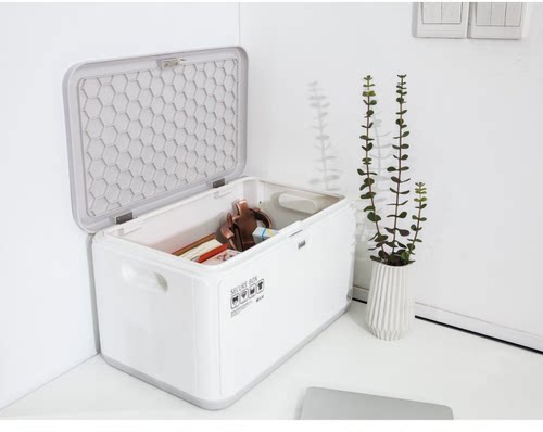 加厚密码收纳箱文件塑料带锁